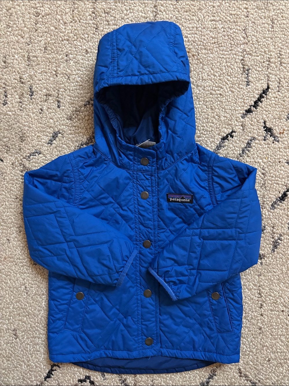 Patagonia Kids Puffer Jacket (2T) EUC